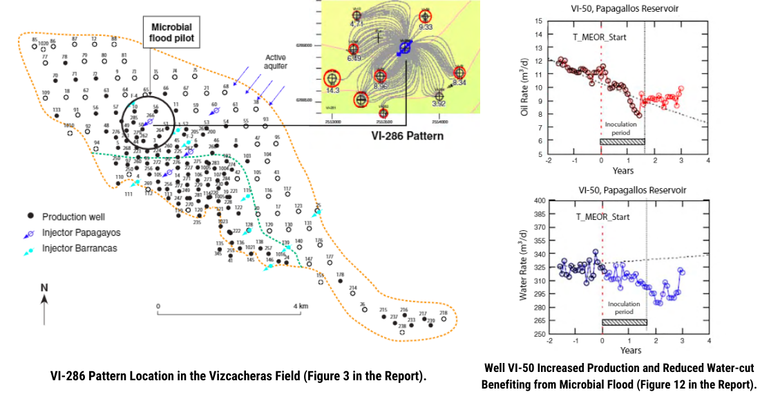 MEOR Microbial Flood Vizcacheras Field VI-286 Pattern Pilot (Argentina) 2